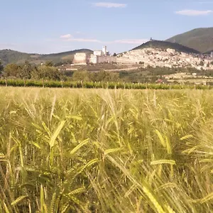 Domus Benedicta Asís